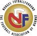 NFF logo_gold_pms.jpg