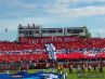 tifo.jpg